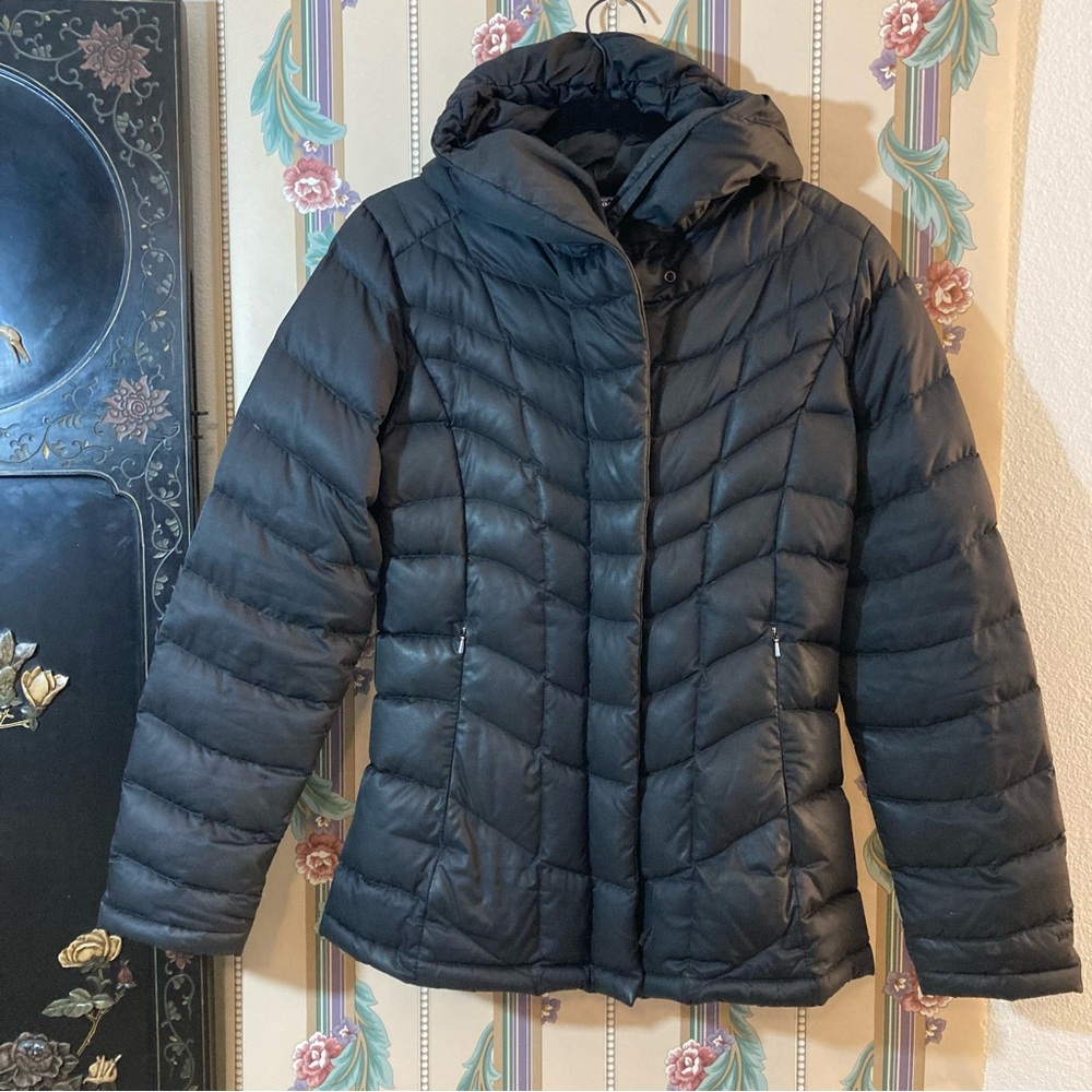 Patagonia Puffy Hooded Goose Down Coat